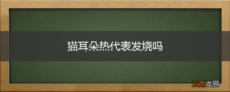 猫耳朵热代表发烧吗