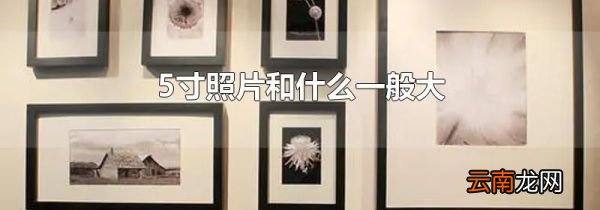5寸照片和什么一般大