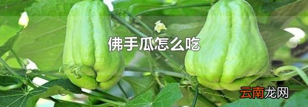 佛手瓜怎么吃
