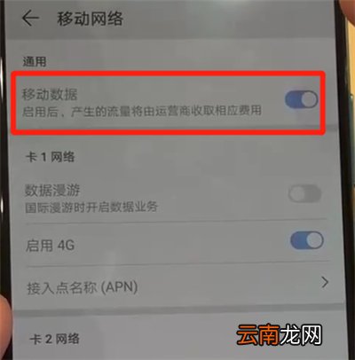 华为p30pro中打开流量具体操作步骤