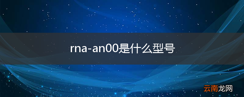 rna-an00是什么型号