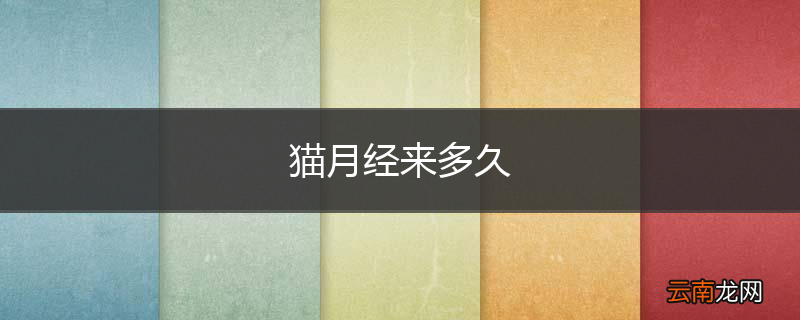 猫月经来多久