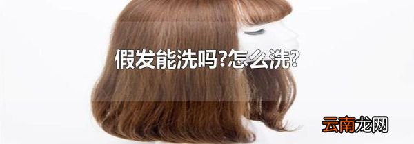 假发能洗吗?怎么洗?