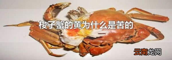 梭子蟹的黄为什么是苦的