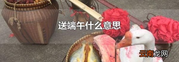 送端午什么意思