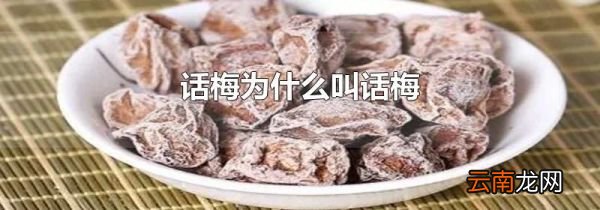 话梅为什么叫话梅