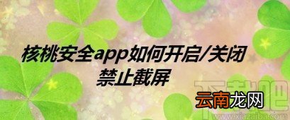 核桃安全app开启禁止截屏的方法