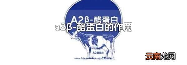 a2β-酪蛋白的作用