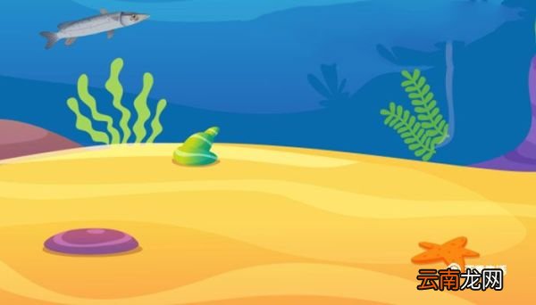 海星吃哪个部位 海鲜海星吃哪个部位