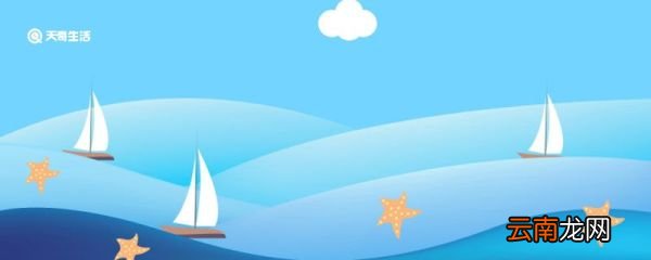 海星吃哪个部位 海鲜海星吃哪个部位
