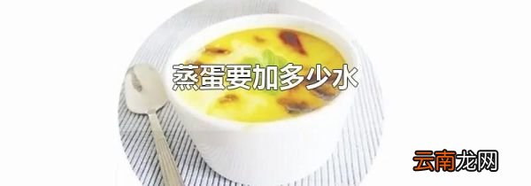 蒸蛋要加多少水
