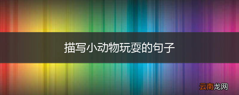 描写小动物玩耍的句子