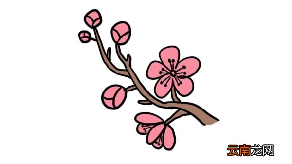 武汉樱花简笔画怎么画武汉樱花简笔画画法