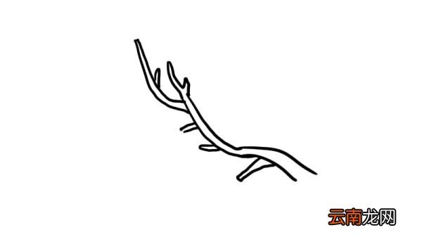 武汉樱花简笔画怎么画武汉樱花简笔画画法