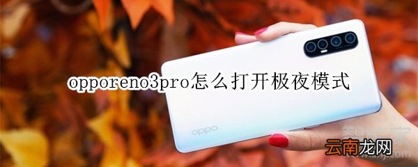 opporeno3pro怎么打开极夜模式
