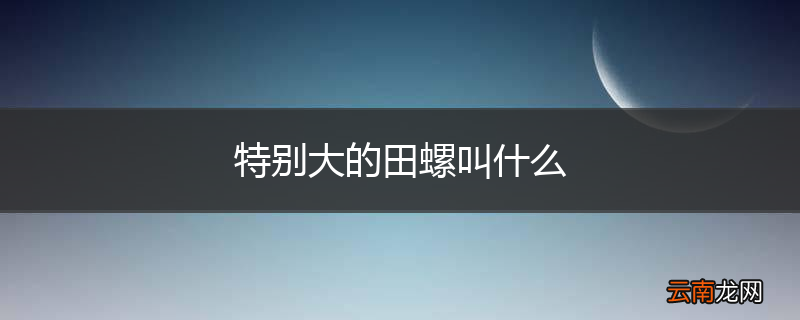 特别大的田螺叫什么