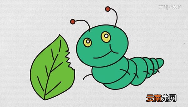 吃草的虫子简笔画教程吃草的虫子简笔画步骤