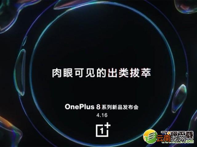 一加8手机发布会直播地址