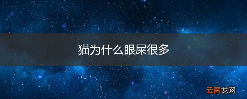 猫为什么眼屎很多