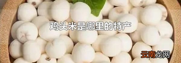鸡头米是哪里的特产