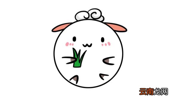 圆的简笔画
