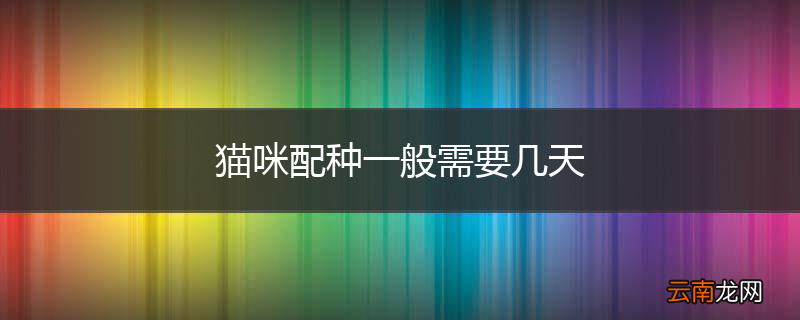 猫咪配种一般需要几天