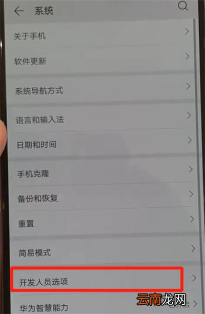 华为p30pro中将开发人员选项关闭具体操作步骤