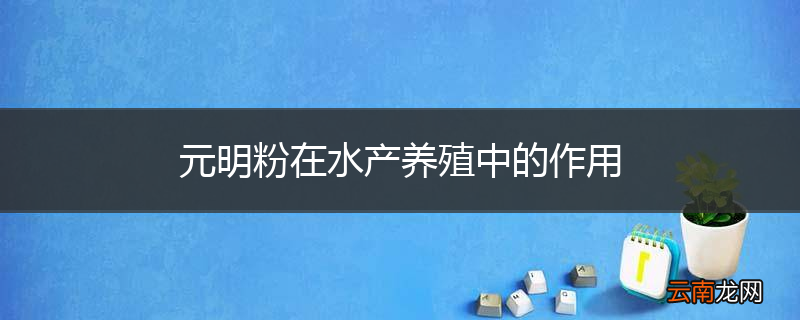 元明粉在水产养殖中的作用