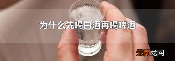 为什么先喝白酒再喝啤酒