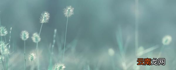 《草》古诗原文带拼音白居易的草的解释