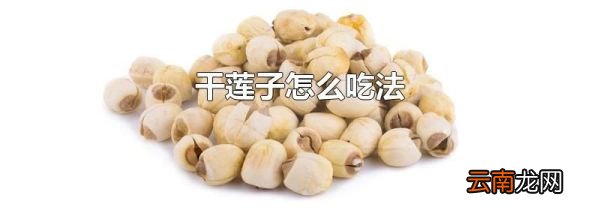 干莲子怎么吃法