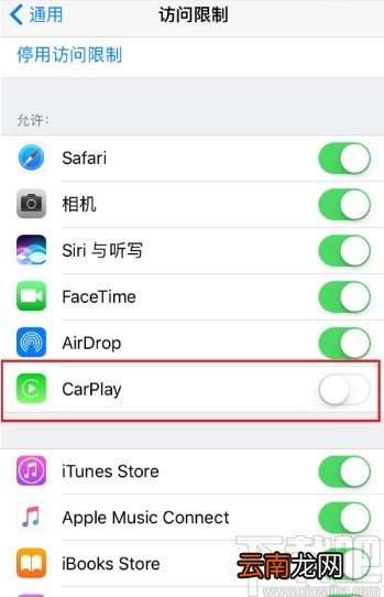 苹果手机打开Carplay车载功能的方法