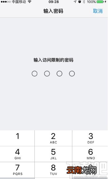 苹果手机打开Carplay车载功能的方法