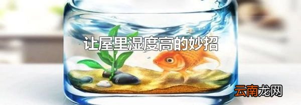 让屋里湿度高的妙招