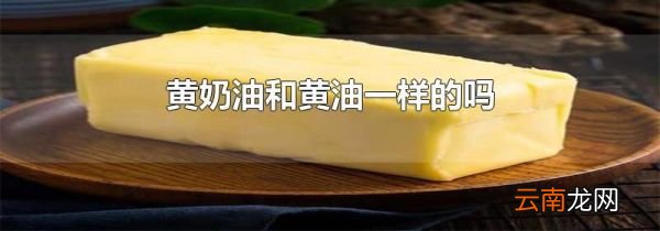 黄奶油和黄油一样的吗