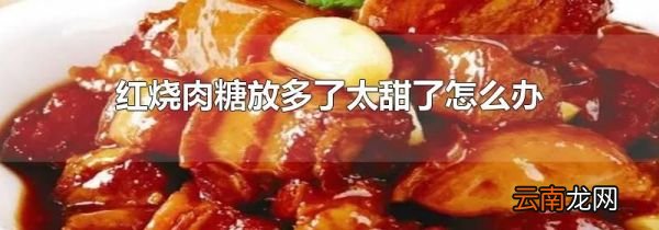 红烧肉糖放多了太甜了怎么办