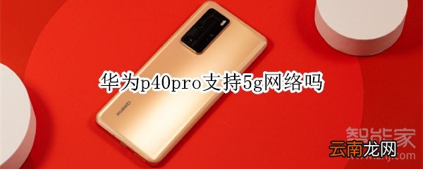 华为p40pro支持5g网络吗