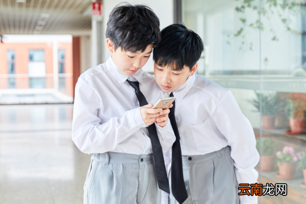 小学生使用手机的利与弊小学生应该有手机吗