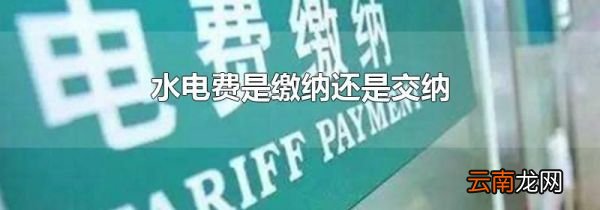 水电费是缴纳还是交纳