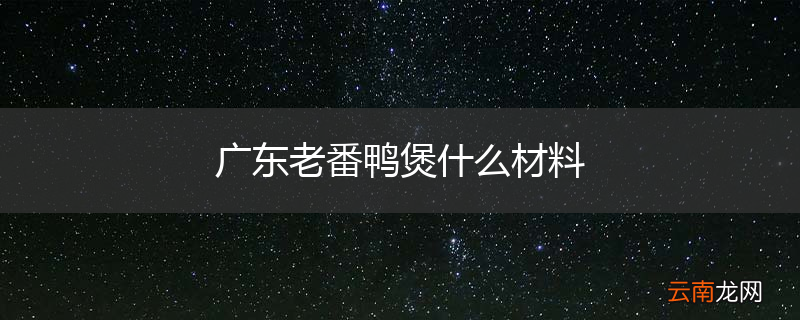 广东老番鸭煲什么材料