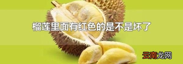 榴莲里面有红色的是不是坏了