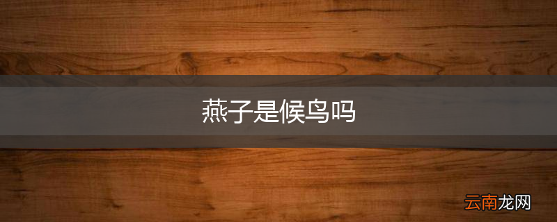 燕子是候鸟吗