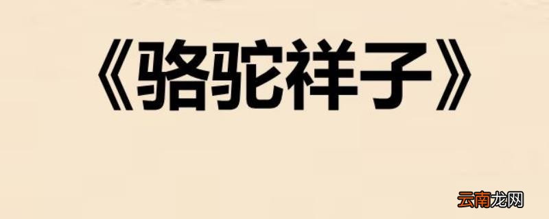 高妈点化祥子怎样赚钱