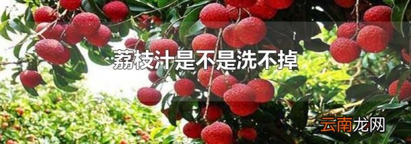 荔枝汁是不是洗不掉