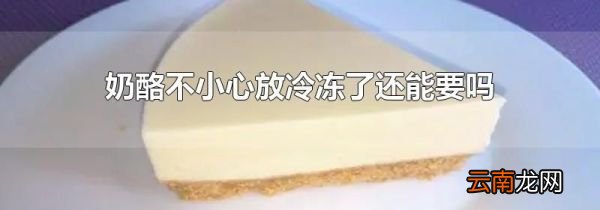 奶酪不小心放冷冻了还能要吗