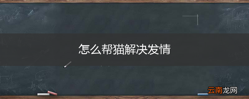 怎么帮猫解决发情