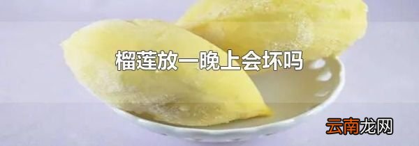 榴莲放一晚上会坏吗