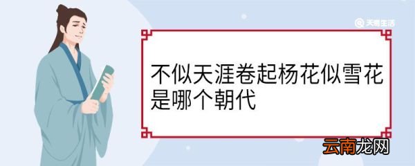 不似天涯卷起杨花似雪花是哪个朝代 不似天涯卷起杨花似雪花是哪个时代