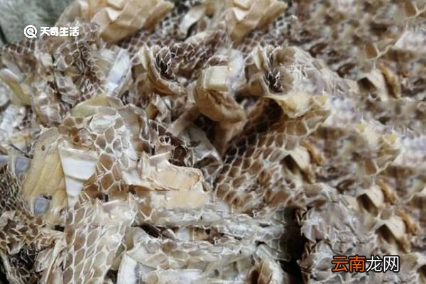 蛇脱皮的功效与作用 蛇脱皮的功效