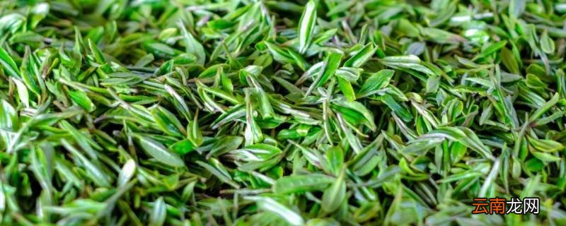 春末试新茶什么意思